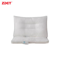 ZDET 枕芯 涤棉 填充荞麦皮(个)