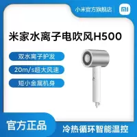 小米(mi)小米电吹风机 H500