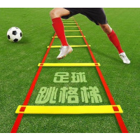 惠居尚品 绳梯 足球篮球跳格梯训练器材绳敏梯捷步伐训练梯速度能量软梯健身 10米20节