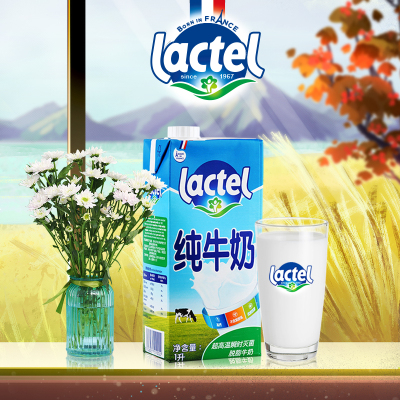 兰特Lactel纯牛奶1L*2盒法国进口脱脂纯牛奶0脂肪营养早餐奶烘焙奶茶原料 脱脂牛奶1L*2盒体验装(法国产)