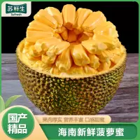 [苏鲜生]海南黄肉菠萝蜜 新鲜水果 香甜可口 1个 净重15-20斤装 热带水果