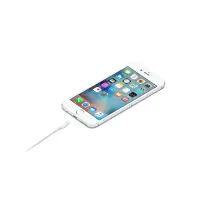 Apple 苹果数据线原装充电线手机充电器线 充电线1米[单线不含头]