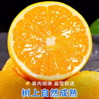 [西沛生鲜]正宗伦晚脐橙 净重9斤 单果65-70mm 秭归橙子水果新鲜当季整箱斤果冻甜橙春橙伦晚脐橙