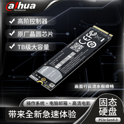 大华(alhua) SSD固态硬盘C970系列1TB笔记本台式机固态硬盘大容量存储十年质保