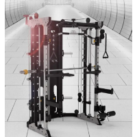 施菲特SevenFiter 多功能史密斯机 龙门架综合健身器材SF203 双配重健身器材SF203
