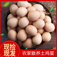 [西沛生鲜]谷物蛋20枚+绿壳蛋20枚 农家散养新鲜正宗草鸡蛋笨柴鸡蛋孕妇月子蛋整箱禽蛋