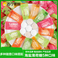 珍丽友 海盐薄荷糖(维C金梅味)500g(约280颗)网红糖果儿童小零食喜糖囤货批发