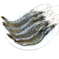五个农民青岛大虾 盐冻大虾3.5斤装12-15cm 顺丰速运