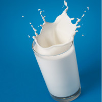 纯牛奶250ml*12包