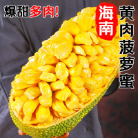 冠町 海南黄肉菠萝蜜整果27-30斤 新鲜水果生鲜