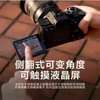 索尼(SONY)Alpha 7S III A7S3 全画幅微单数码相机 专业高帧率视频ILCE-7SM3/a7s3单机身