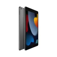 TC1003-7-1 苹果ipad10.2英寸平板电脑不含SIM卡处理器12GB内存+256GB存储 租赁7天价格