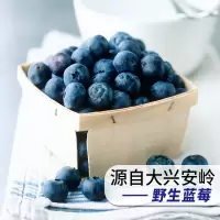 蜜乐庄园 特级蓝莓水果干无糖精无添加蓝莓干500g 1包