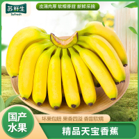 [苏鲜生]福建天宝香蕉3斤箱装 新鲜当季水果 精品 香甜软糯 孕妇宝宝辅食