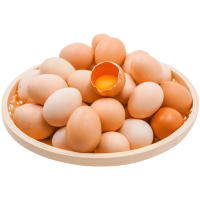 金龙鱼 企业优选 新鲜现捡鸡蛋 笨鸡蛋新鲜柴鸡蛋初生蛋
