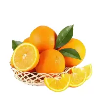 湖北秭归屈乡夏日鲜橙夏橙9斤/5斤高山脐橙手剥甜橙当季多汁水果