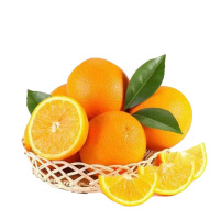 湖北秭归屈乡夏日鲜橙夏橙12枚礼盒装高山脐橙手剥甜橙当季多汁水果