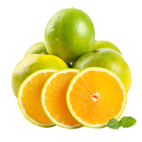 冠町 湖北秭归夏橙子12枚礼盒装净重6-7斤 当季新鲜水果脐橙