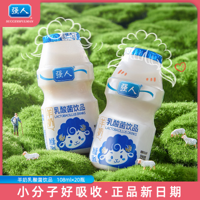 强人羊奶乳酸菌饮料108ml*20瓶/箱羊奶粉发酵孕妇儿童酸奶饮品