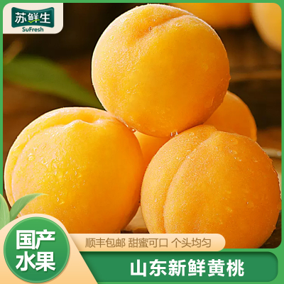[苏鲜生]顺丰快递 山东新鲜黄桃 新鲜水果桃子 产地直发 净重4.5斤装