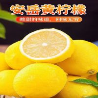 黄柠檬四川安岳柠檬 5斤 单果120-150g