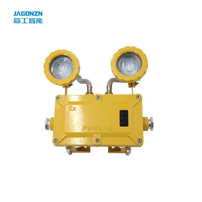 简工智能 JG-ZFZD-E6W GJ 2×3W IP65 220V LED光源 5500K 应急照明灯(单位:盏)黄色