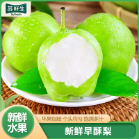 [苏鲜生]新鲜早酥梨 净重8.5斤装 新鲜当季水果梨应季水果