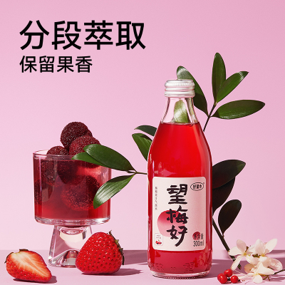 好望水 望梅好 杨梅汽泡水无香精酸梅汤果汁饮料300ml*6瓶(泡沫)/箱