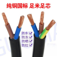 电线电缆 RVV 2*4平方 铜芯电线 国标阻燃软护套线 一米