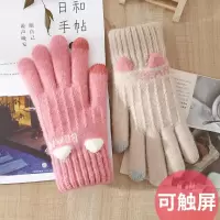 手套女士秋冬季可触屏针织保暖防寒批发可爱韩版骑行开车加绒卡通