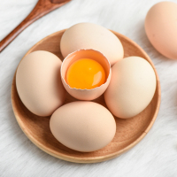 [西沛生鲜]新鲜虫草鸡蛋 10枚装 农家散养新鲜正宗草鸡蛋笨柴鸡蛋孕妇月子蛋整箱禽蛋
