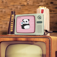 沃品(WOPOW)熊猫电视复古蓝牙小音箱HIFI级音效续航时间长小巧便携生日礼物2023年新款AP07 复古绿