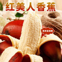 [熊猫鸟]国产红皮香蕉 3斤装 美人蕉 孕妇水果宝宝辅食 新鲜当季红香蕉 国产热带水果