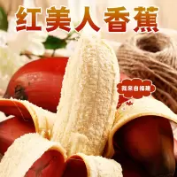 [熊猫鸟]国产红皮香蕉 5斤装 美人蕉 孕妇水果宝宝辅食 新鲜当季红香蕉 国产热带水果