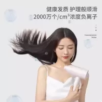 小适电吹风A1810P