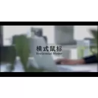 横式鼠标i2款防鼠标手人体工学(USB无线/2.4G)电脑办公便携