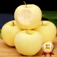 [西沛生鲜]山东新鲜黄元帅苹果 净重5斤 单果70-80mm 粉面苹果
