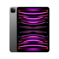 Apple iPadPro11英寸平板电脑 2022年款256G WLAN版 深空灰色MNXF3CH/A