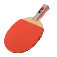 红双喜 乒乓球拍一星级直拍对拍H1006套装附拍包+乒乓球