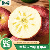 [苏鲜生]云南昭通苹果 净重3斤 中果 单果60-70mm 新鲜应当季水果整箱时令水果