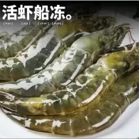 虾(精品)