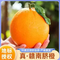冠町 江西赣南脐橙5斤小果 高山脐橙 当季鲜果甜橙手剥橙 新鲜水果生鲜