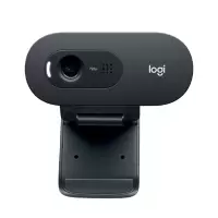 罗技(Logitech)C505e高清摄像头 家用摄像头