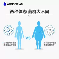 WonderLab 成人B420益生菌 成人益生菌粉 200亿益生元益生菌 B420益生菌