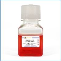 BeyotimeC0203-100ml,胰酶细胞消化液(0.25%胰酶, 含酚红)瓶