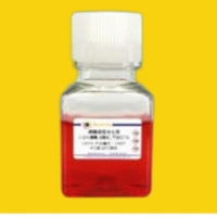 Beyotime 胰酶细胞消化液(0.25%胰酶, 含酚红, 不含EDTA) C0207
