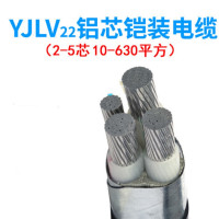 珠江缆鑫 铝芯铠装埋地电缆线YJLV22 3*240+2(国标) 单位:1米