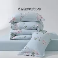 水星家纺 床上纯棉四件套精梳棉清新花卉系列套件1.8米床 雨后知春