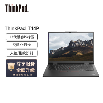 ThinkPad联想ThinkPad T14p 英特尔酷睿i5 14英寸高性能标压轻薄商务笔记本 13代酷睿(i5-13500H/32G/1T固态/锐炬Xe/2.2K屏)