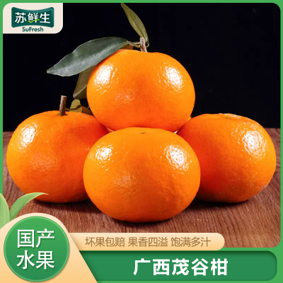 [苏鲜生]精选广西茂谷柑 净重3斤 中小果 单果65-70mm 新鲜时令水果当季